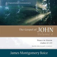 The Gospel of John: An Expositional Commentary, Vol. 4