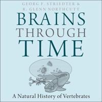 Brains Through Time Lib/E