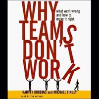 Why Teams Don't Work Lib/E