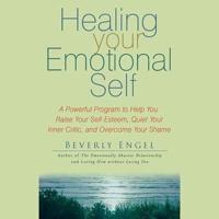 Healing Your Emotional Self Lib/E