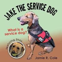 Jake the Service Dog: What Is a Service Dog?