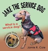 Jake the Service Dog: What Is a Service Dog?