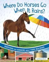 Where Do Horses Go When It Rains?