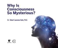Why Is Consciousness So Mysterious?