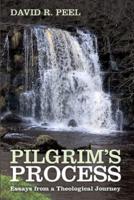 Pilgrim's Process
