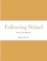 Following Shtisel