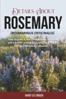 Details About Rosemary (Rosmarinus Officinalis)