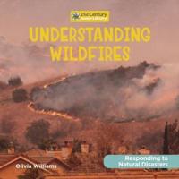 Understanding Wildfires
