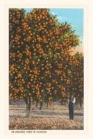 Vintage Journal Orange Trees