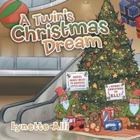 A Twin's Christmas Dream