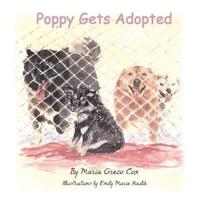 Poppy Gets Adopted