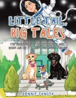 Little Tail, Big Tales