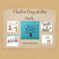 Flash's Day at the Park