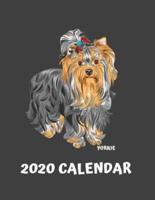 2020 Yorkie Calendar