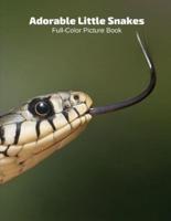 Adorable Snakes Full-Color Picture Book