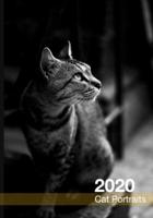 2020 Cat Portraits