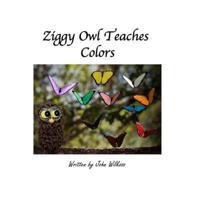 Ziggy Owl Teaches Colors