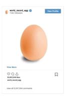 World_record_egg