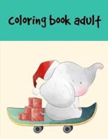 Coloring Book Adult