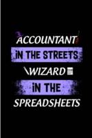 Accountant in the Streets Wizard in the Spreadsheets