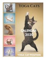 Yoga Cats Calendar 2020 - Yoga Cat Position