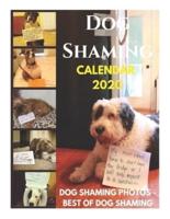 Dog Shaming 2020 Calendar - Dog Shaming Photos - Best of Dog Shaming