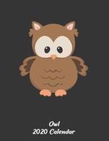 2020 Owl Calendar
