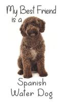 My Best Friend Is a Spanish Water Dog