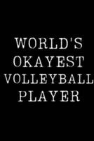 World's Okayest Volleyball Player