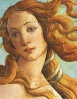 Botticelli Sketchbook #6