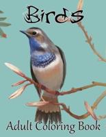Birds Adult Coloring Book