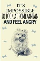 It's Impossible To Look At Pomeranians And Feel Angry