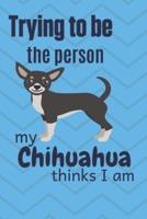 Trying to Be the Person My Chihuahua Dog Thinks I Am