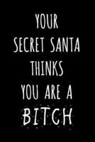 Your Secret Santa Thinks You Are A Bitch