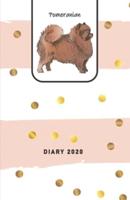 Pomeranian Diary 2020