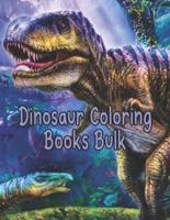 Dinosaur Coloring Books Bulk