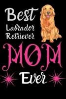 Best Labrador Retriever Mom