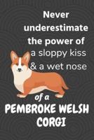Never Underestimate the Power of a Sloppy Kiss & A Wet Nose of a Pembroke Welsh Corgi Dog