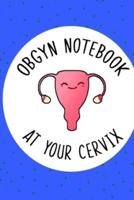 OBGYN Notebook At Your Cervix, Gynaecologist Journal, Funny Gift For OBGYN