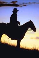2020 Daily Planner Horse Photo Equine Western Cowboy Sunset Silhouette 388 Pages