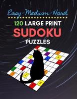 Easy Medium Hard 120 Large Print Sudoku Puzzles