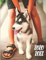 2020-2022 Three 3 Year Planner Husky Dog Monthly Calendar Gratitude Agenda Schedule Organizer