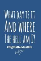 What Day Is It And Where The Hell Am I, Flight Attendant Life Journal