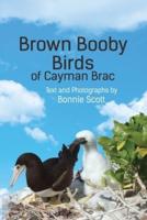 Brown Booby Birds of Cayman Brac