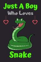 Just A Boy Who Loves Snake