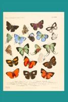 Butterfly Ephemera Dot Matrix Journal