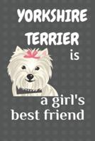 Yorkshire Terrier Is a Girl's Best Friend
