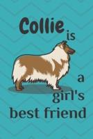 Collie Is a Girl's Best Friend