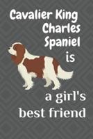Cavalier King Charles Spaniel Is a Girl's Best Friend