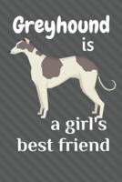 Greyhound Is a Girl's Best Friend